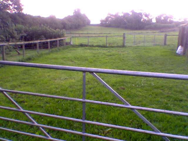 Owners field